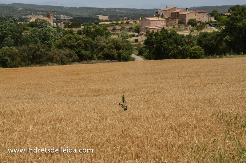 Llanera