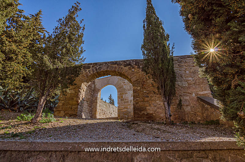 Arbeca